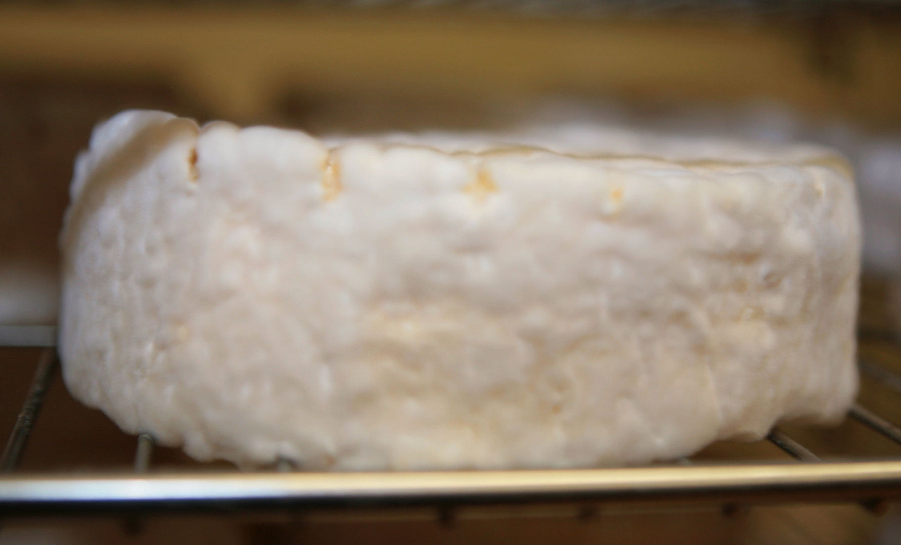 Kleine Berta - Weichkäse aus Schafsmilch – Hof im Greth Kleine Berta - Weichkäse aus Schafsmilch – Hof im Greth